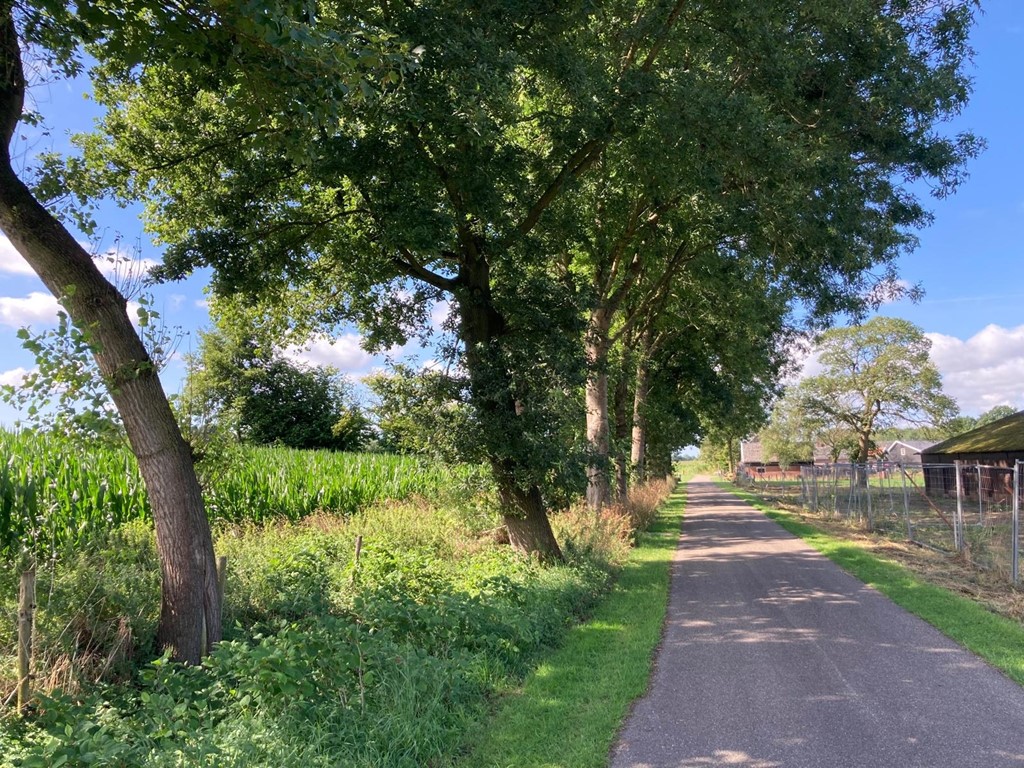 geersweg nieuwe foto juli 25 (3).jpeg